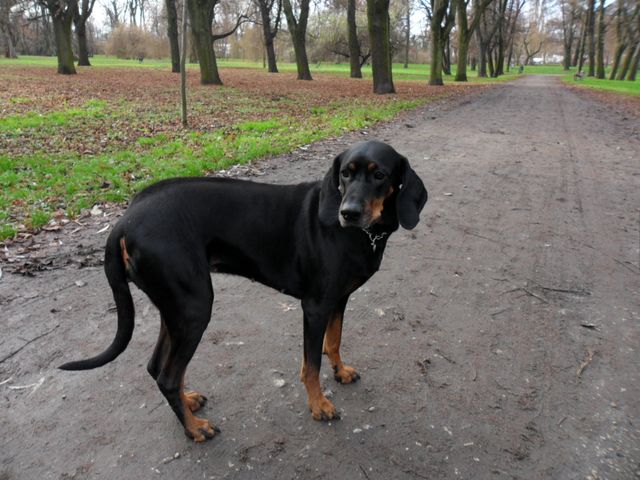 SAM_4918.JPG