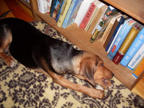 16.11. 2008 001.jpg