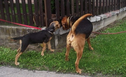 DSCF3644.JPG