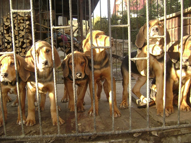 2013-12-23 008.JPG