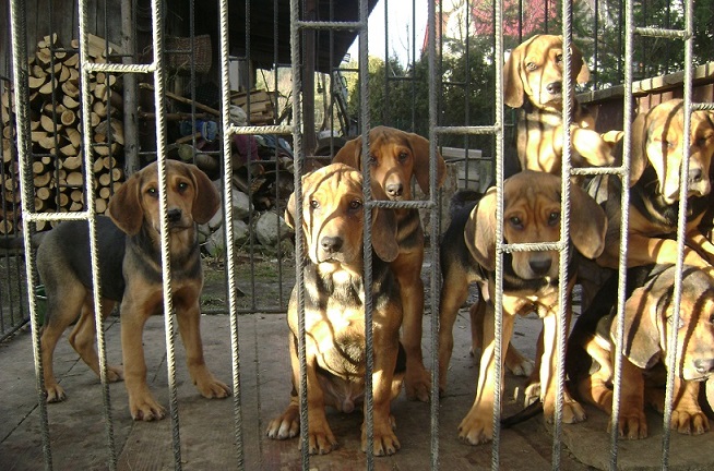 2013-12-23 009.JPG
