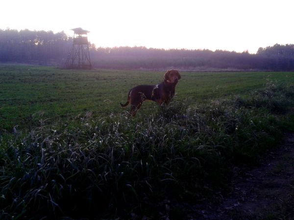 20131224_152052.jpg