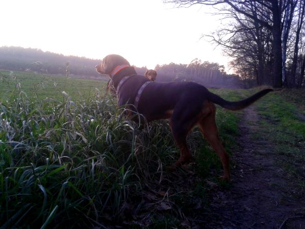 20131224_152129.jpg