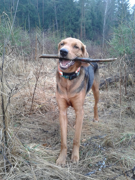 20131223_103516.jpg