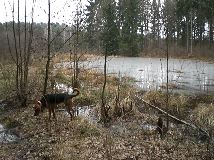 więta 2013.jpg