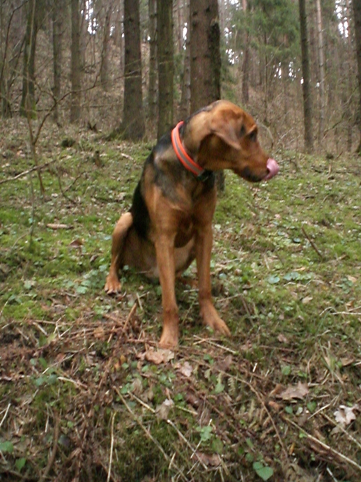 więta 2013a.jpg