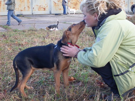 16.11. 2008 031.jpg