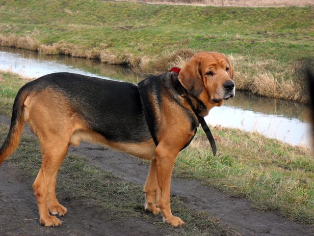 SAM_5125.JPG