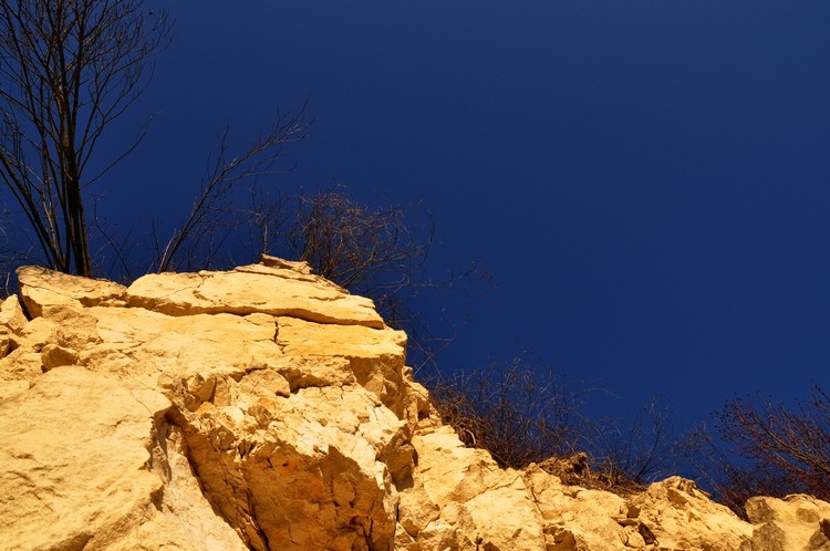 CSC_0469.JPG b.jpg