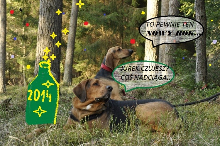 Nowy Rok 2014_n.jpg
