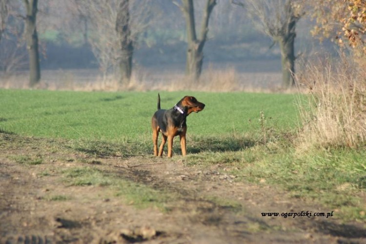 Spacer