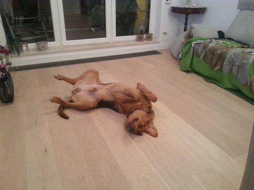 sleep.jpg