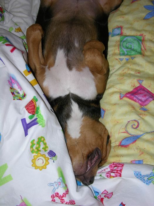 A potem wiadomo...chillout ;-D