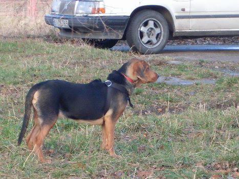 16.11. 2008 039.jpg
