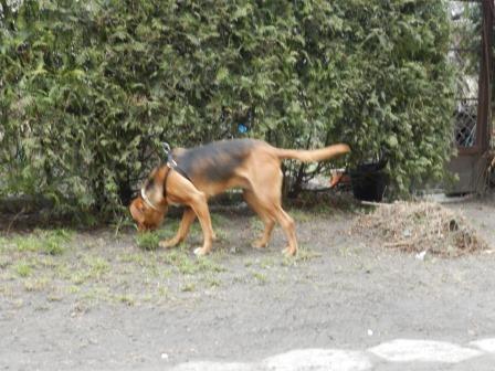 DSCN0803.JPG