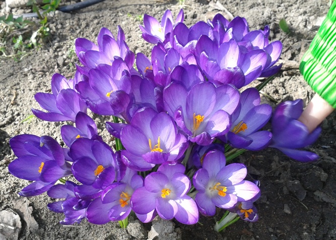 Zdjęcie-0022.jpg