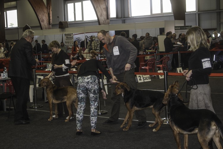 drzoonków2014 (61 of 40).jpg
