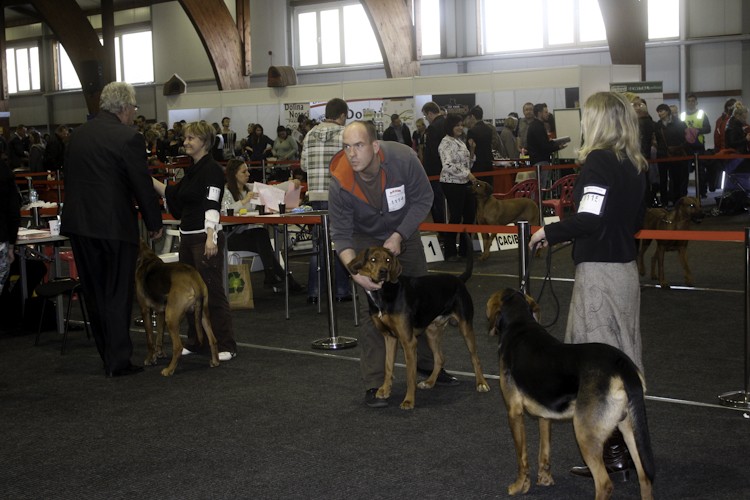 drzoonków2014 (62 of 40).jpg