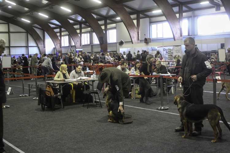 drzoonków2014 (84 of 40).jpg