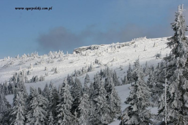 Widoki.