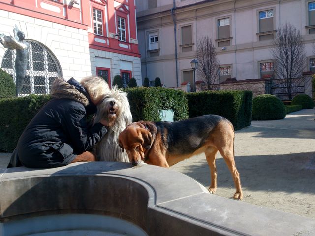 2014-03-01 2014-03-01 001 088.jpg