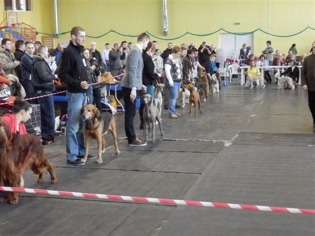 P1010066.JPG