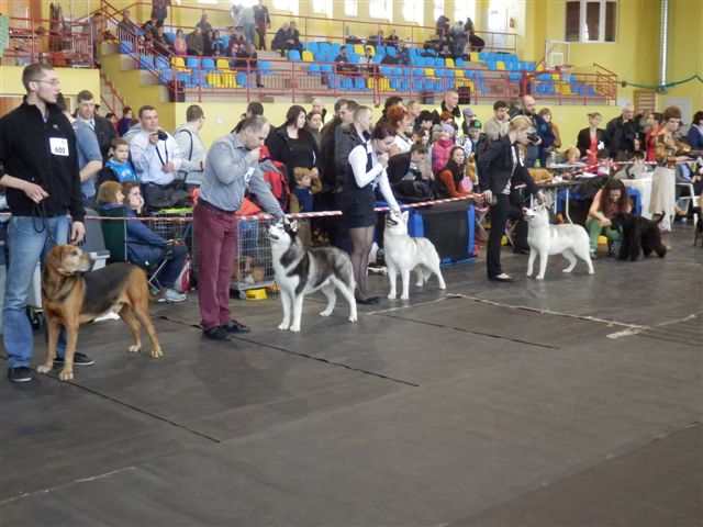 P1010085.JPG