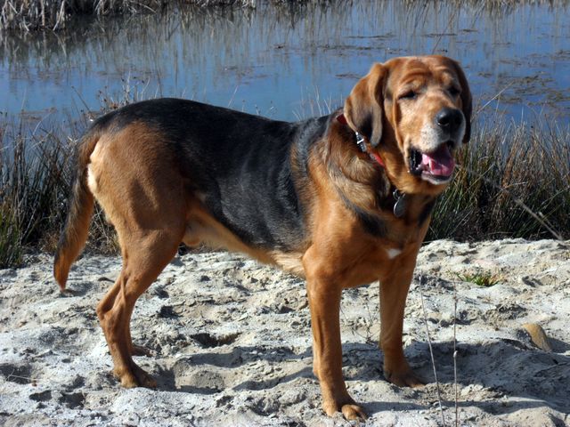 SAM_5761.JPG