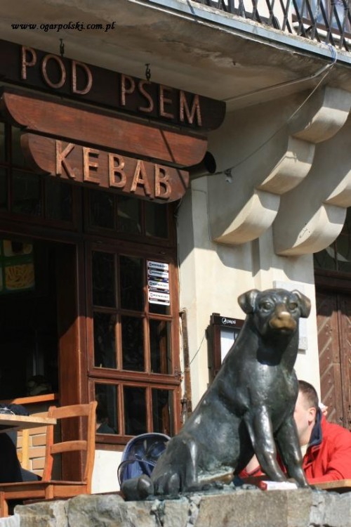 Nazwa fajna.