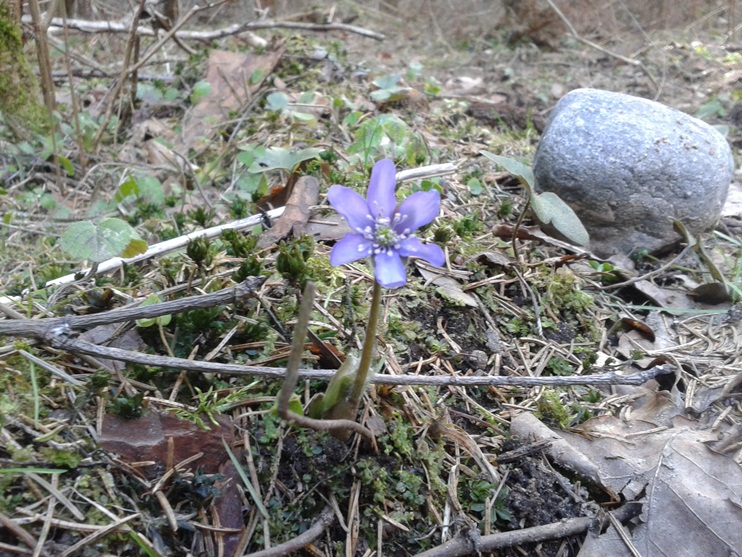 Cześć, Kwiatuszku! :)