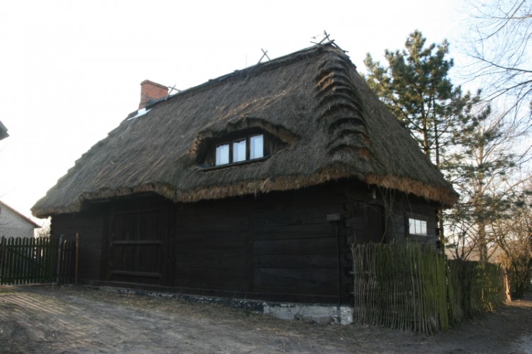 Mięćmierz tylko w pigułce.