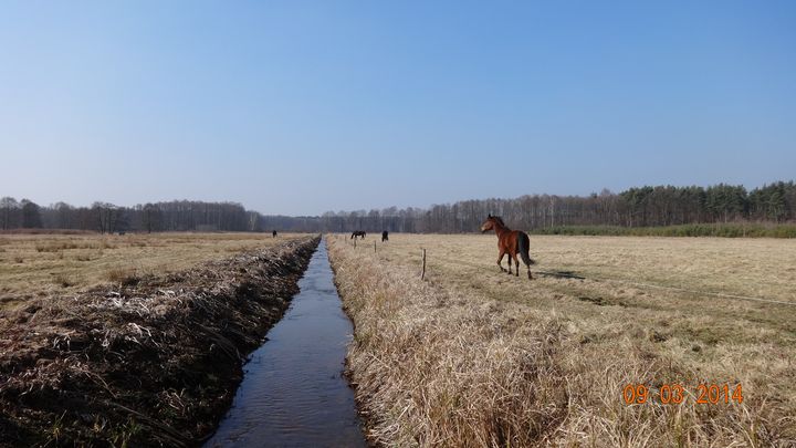 DSC00313_wynik.JPG