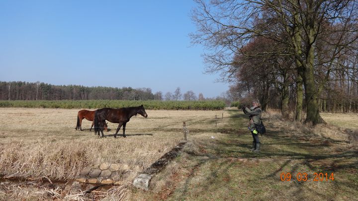 DSC00319_wynik.JPG