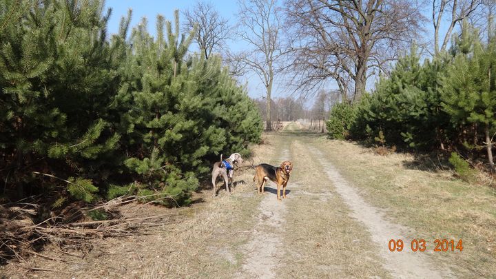 DSC00338_wynik.JPG