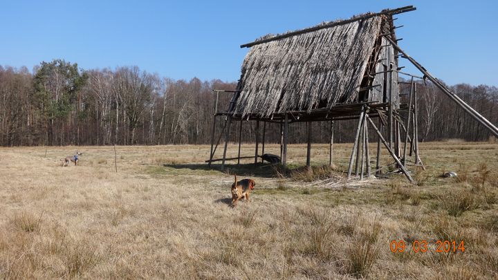 DSC00352_wynik.JPG
