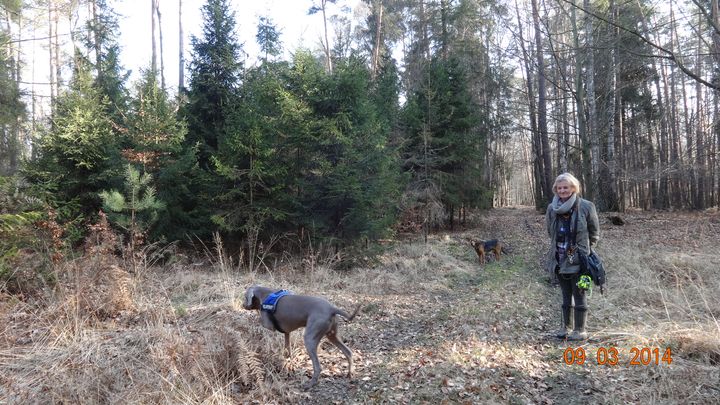 DSC00438_wynik.JPG