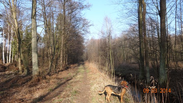 DSC00442_wynik.JPG
