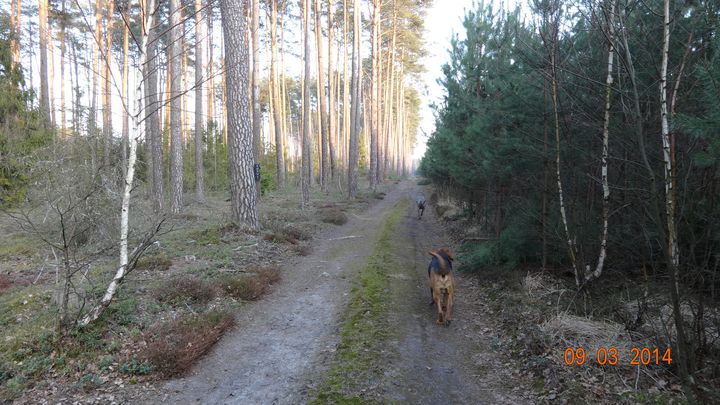 DSC00509_wynik.JPG