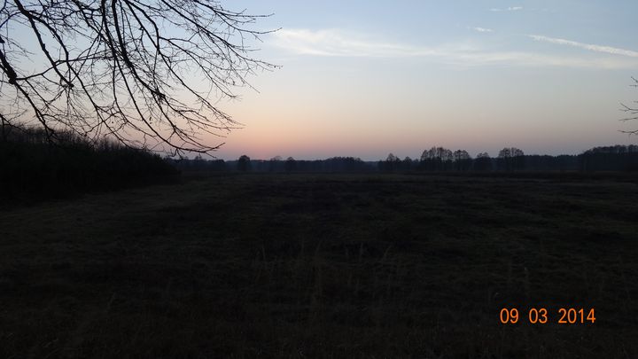 DSC00513_wynik.JPG