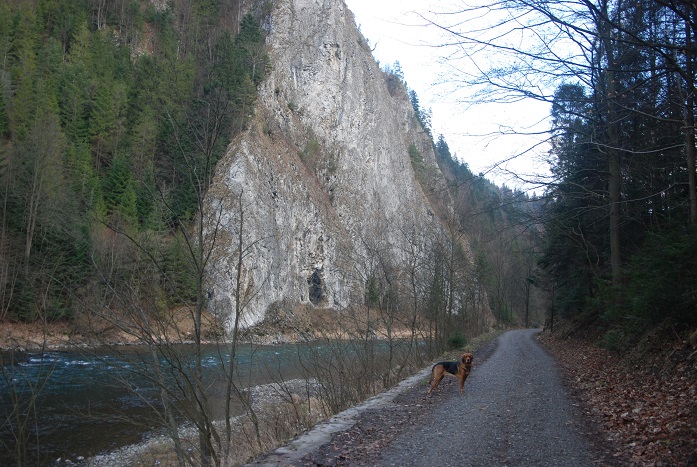DSC_0003.JPG