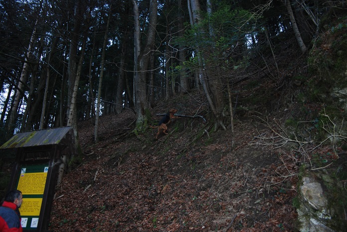 DSC_0008.JPG