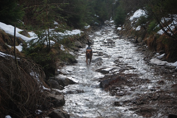 DSC_0024.JPG