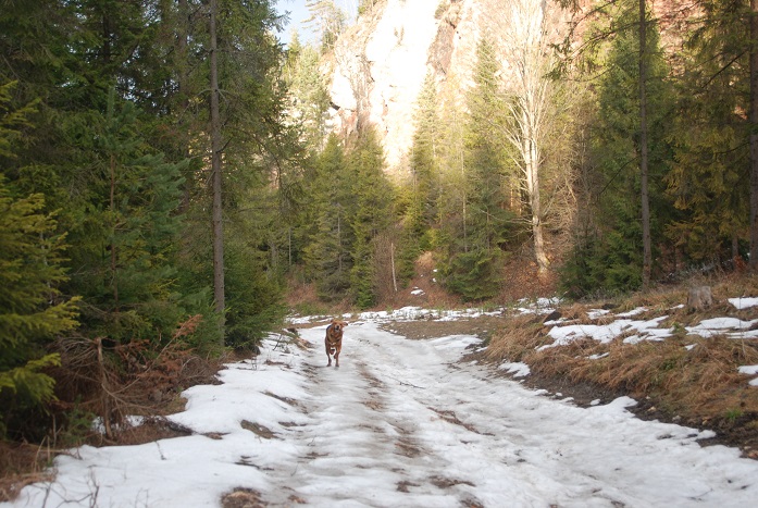 DSC_0035.JPG