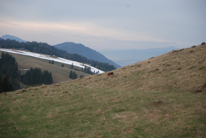 DSC_0053.JPG