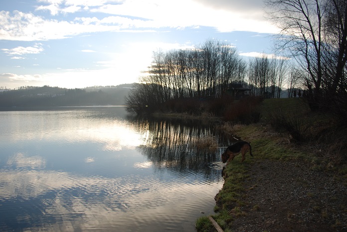 DSC_0111.JPG