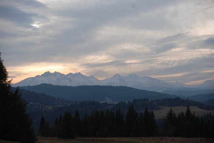 DSC_1017.JPG