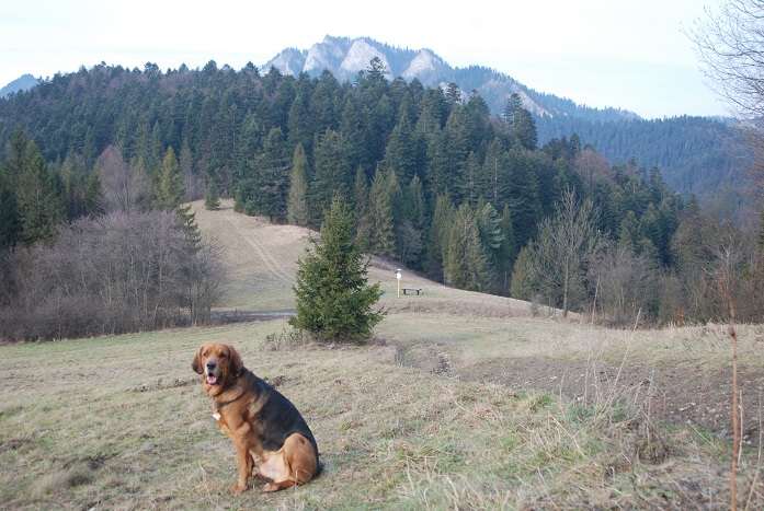 DSC_0993.JPG