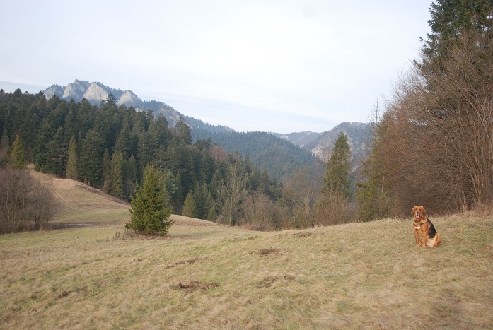 DSC_0995.JPG