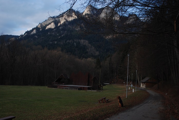 DSC_1025.JPG