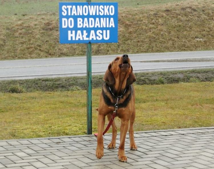 Smyk na kontroli marzec 2014.jpg